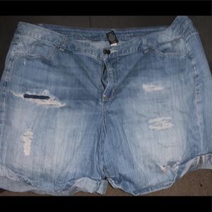 Lane Bryant Destructed Jean short